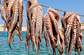 Aegean Cuisin - Κυκλάδες πέρα από την καρτ ποστάλ: η αυθεντική γεύση των νησιών