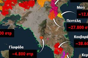Την τελευταία 10ετία κάηκε από πυρκαγιές το 42% των δασών στην Αττική