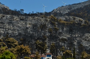 Φωτιά στη Βοιωτία