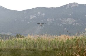 Ο ΙΣΑ ζητά εντατικοποίηση μέτρων κατά των κουνουπιών λόγω αυξημένης κυκλοφορίας του ιού Δυτικού Νείλου στην Αττική και καλεί τους πολίτες σε αυστηρή προστασία.