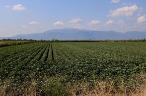 Ο ΕΛΓΑ προσλαμβάνει 60 γεωπόνους για Λαμία, Λάρισα και Ηράκλειο - Η προθεσμία υποβολής των ηλεκτρονικών αιτήσεων λήγει στις 18 Αυγούστου 2026.