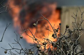 Πυρκαγιά εκδηλώθηκε στα Σήμαντρα Χαλκιδικής - Επιχειρούν 45 πυροσβέστες, 4 εναέρια μέσα και μηχανήματα του Δήμου υπό τη συνεχή επιτήρηση drones