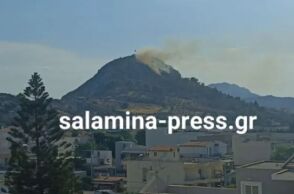 Σαλαμίνα: Οριοθετήθηκε μέσα σε 30 λεπτά η πυρκαγιά στον Προφήτη Ηλία