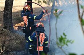 Πυροσβέστες σβήνουν φωτιά στην Αττική