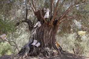 Εγκαίνια για την έκθεση «Nurturing Mechanisms: Συνυφάνσεις στις Καμπόνες» στη Νάξο