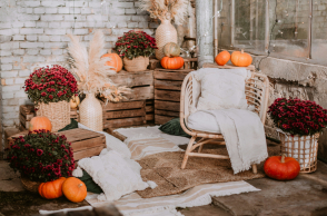 Fall deco