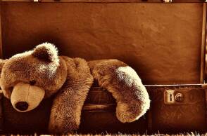 Λούτρινο αρκουδάκι σε βαλίτσα