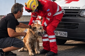 Ελληνικός Ερυθρός Σταυρός: Όταν  το κατοικίδιό σου κινδυνεύει, ξέρεις τι να κάνεις;  