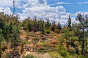 Σακούλα με 1.034 γραμμάρια κάνναβης εντόπισε πολίτης στο Σέιχ Σου στη Θεσσαλονίκη, παραδίδοντάς την στις αστυνομικές Αρχές.