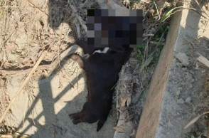 στιγμιοτυπο-οθονης-2023-02-21-191807