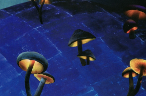 Τα βιβλία του Φανταστικού