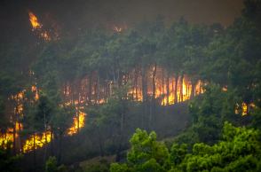Δασικές φωτιές: Η ατιμωρησία και η σιωπή ανοίγουν την όρεξη