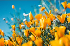 Εορτολόγιο: Σήμερα 11 Αυγούστου γιορτάζει…