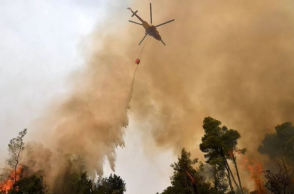 Φωτιά στην Αλεξανδρούπολη