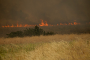 Φωτιά στην Αλεξανδρούπολη