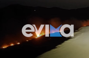 Φωτιά τώρα στην Εύβοια