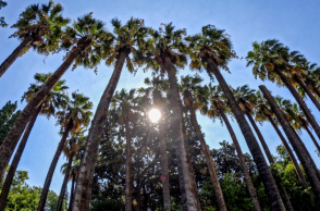 Πρόγνωση καιρού για αύριο 26 Αυγούστου