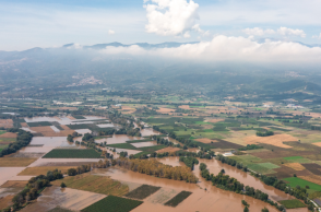 Απολυμάνσεις σε σπίτια και ελέγχους σε χωράφια στη Θεσσαλία, προτείνει ο καθηγητής Σαρηγιάννης