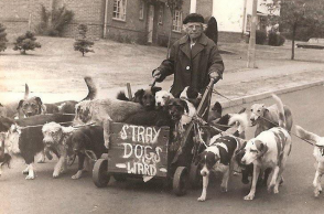 Kate Ward: Η γυναίκα που έσωσε πάνω από 600 ζώα στον Β' Παγκόσμιο Πόλεμο