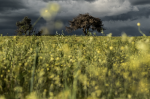 Κακοκαιρία - εξπρες την Κυριακή σε ορισμένες περιοχές - Πού θα κυμανθεί η θερμοκρασία