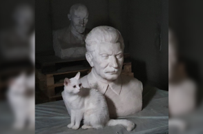 Τρομαγμένα ανθρωπάκια, τυφλά γατάκια