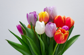 Εορτολόγιο: Σήμερα 30 Οκτωβρίου 2023 γιορτάζει…