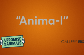 «Anima-I»: Η συμβολή των ζώων στην καλλιτεχνική πράξη