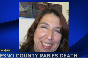 Καθηγήτρια φέρεται να πέθανε μετά από δάγκωμα νυχτερίδας μέσα στην τάξη