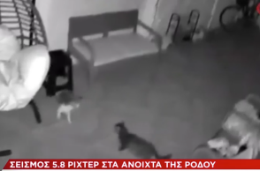 Η στιγμή του σεισμού στην Τουρκία