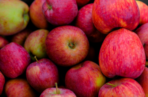 Γιατί οι Ινδοί επιστήμονες ψάχνουν απεγνωσμένα το τέλειο μήλο;