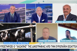 Ο Ανδρέας Στρατάκης για τον ΟΠΕΚΕΠΕ στην υπόθεση του ΣΚΑΪ