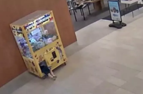 ΗΠΑ: Παιδάκι παγιδεύτηκε μέσα σε μηχάνημα δαγκάνας με λούτρινα ζώα - Πώς διασώθηκε 