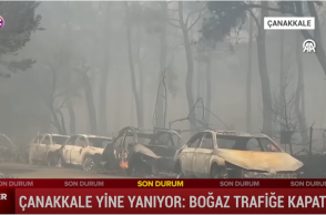 Καμένα αυτοκίνητα σε δρόμο στο Τσανάκαλε