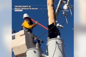Τεχνικός έσωσε αρκούδα που είχε σκαρφαλώσει σε κολώνα ηλεκτροδότησης στην Αριζόνα