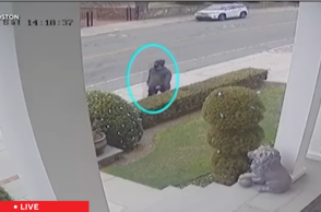 ΗΠΑ: Νεκρός o 48χρονος ύποπτος για τo μακελειό στο Μπράουν - Φέρεται να σκότωσε καθηγητή του MIT