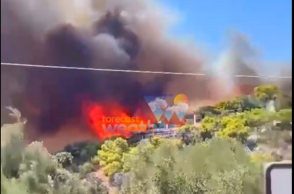 Φωτιά στη Σαλαμίνα