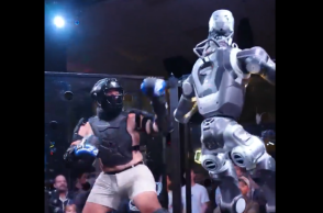robot