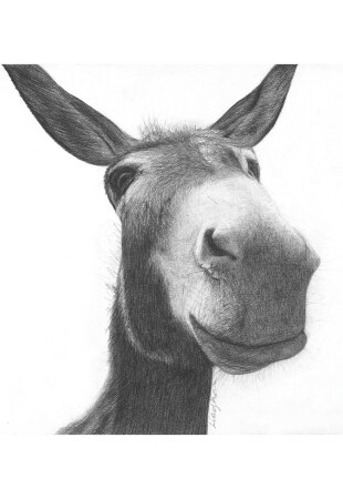 Athens Voice: Το έργο της Εμμανουέλας Λιαγκου στο εξώφυλλο του τεύχους 839