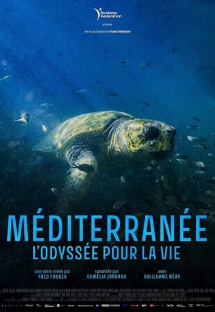Méditerrannée – L’Odyssée pour la vie