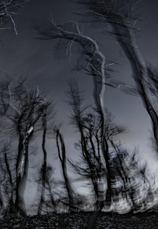 Athens Voice 84 - Τάσος Βρεττός