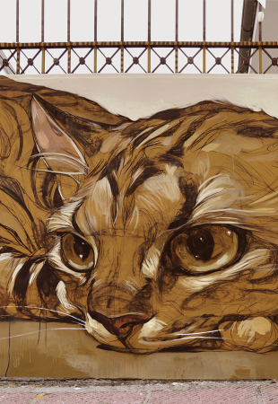 Athens Voice 857 - Σταμάτης Λάσκος