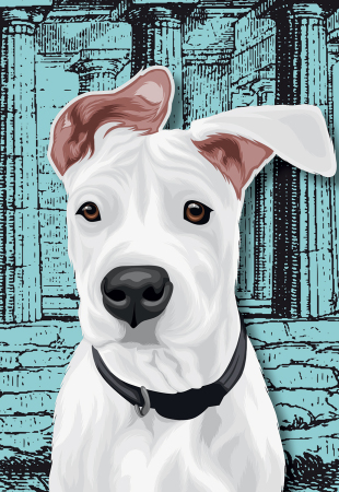 Athens Voice 887 - Ρίαν Νταρμαμά