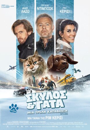 Σκύλος & Γάτα: μια τρελή καταδίωξη