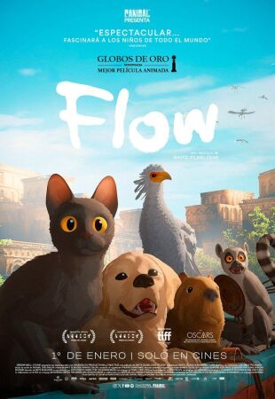 Flow