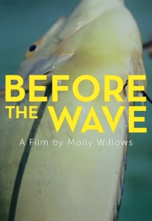 Before the Wave