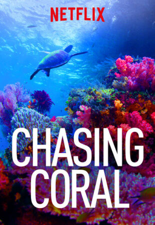Chasing Coral