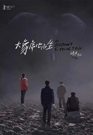 An Elephant Sitting Still