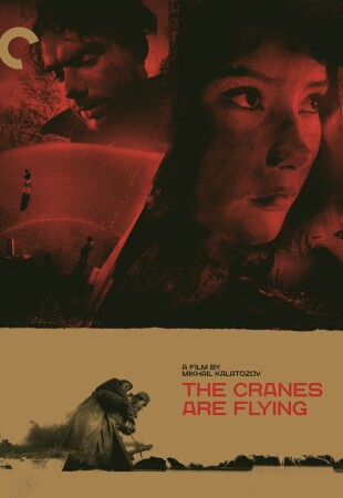 The Cranes are Flying