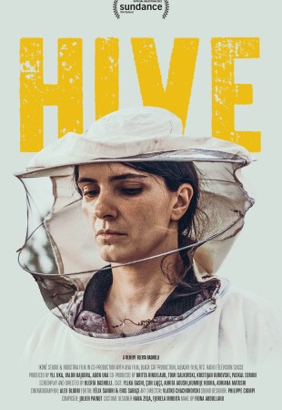 Hive