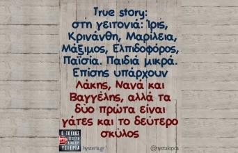 Αστεία memes, ατάκες, YOLO βίντεο, viral, αστεία video στο TikTok που ανέβηκαν στο διαδίκτυο και μας έκαναν να γελάσουμε.